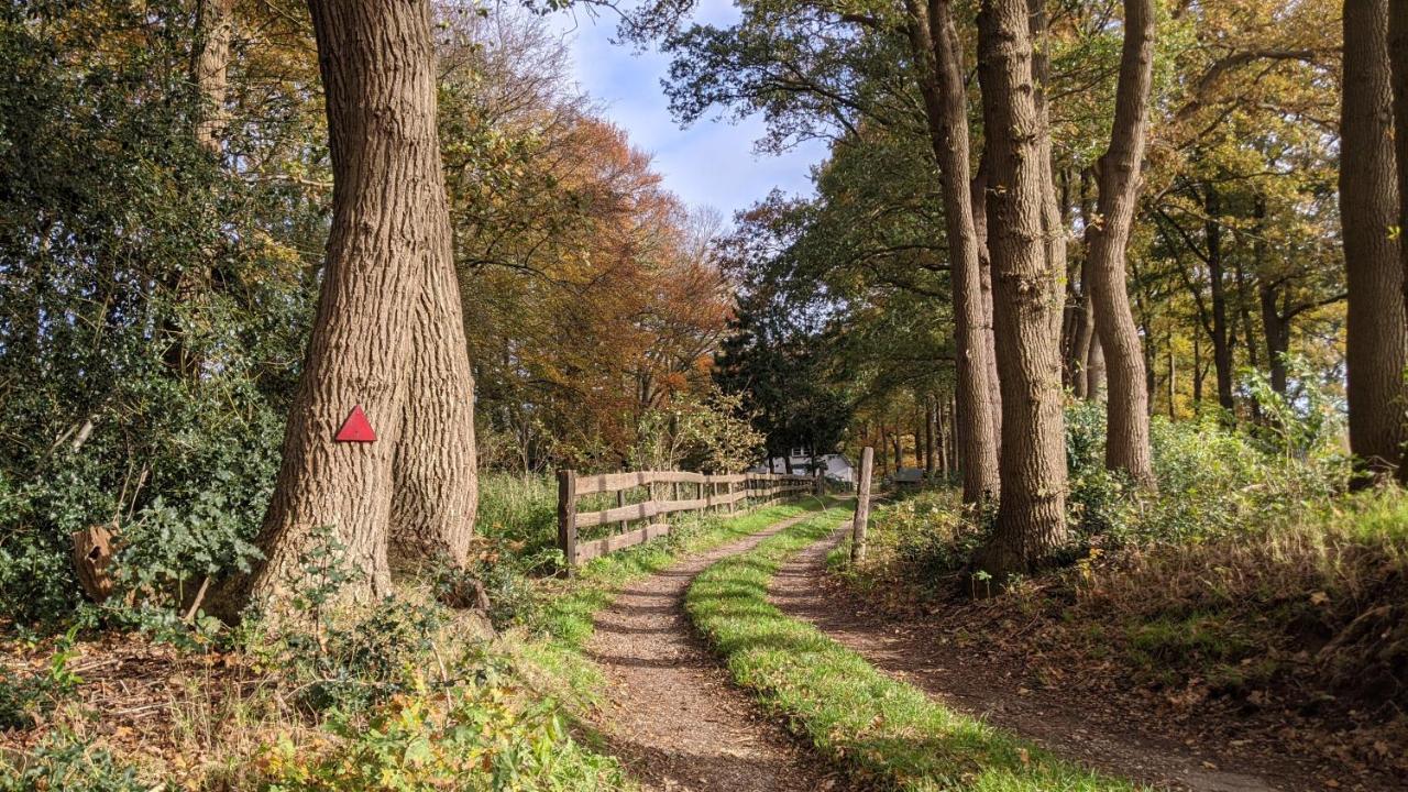 Chalet Op De Veluwe # Eiken Putten Εξωτερικό φωτογραφία